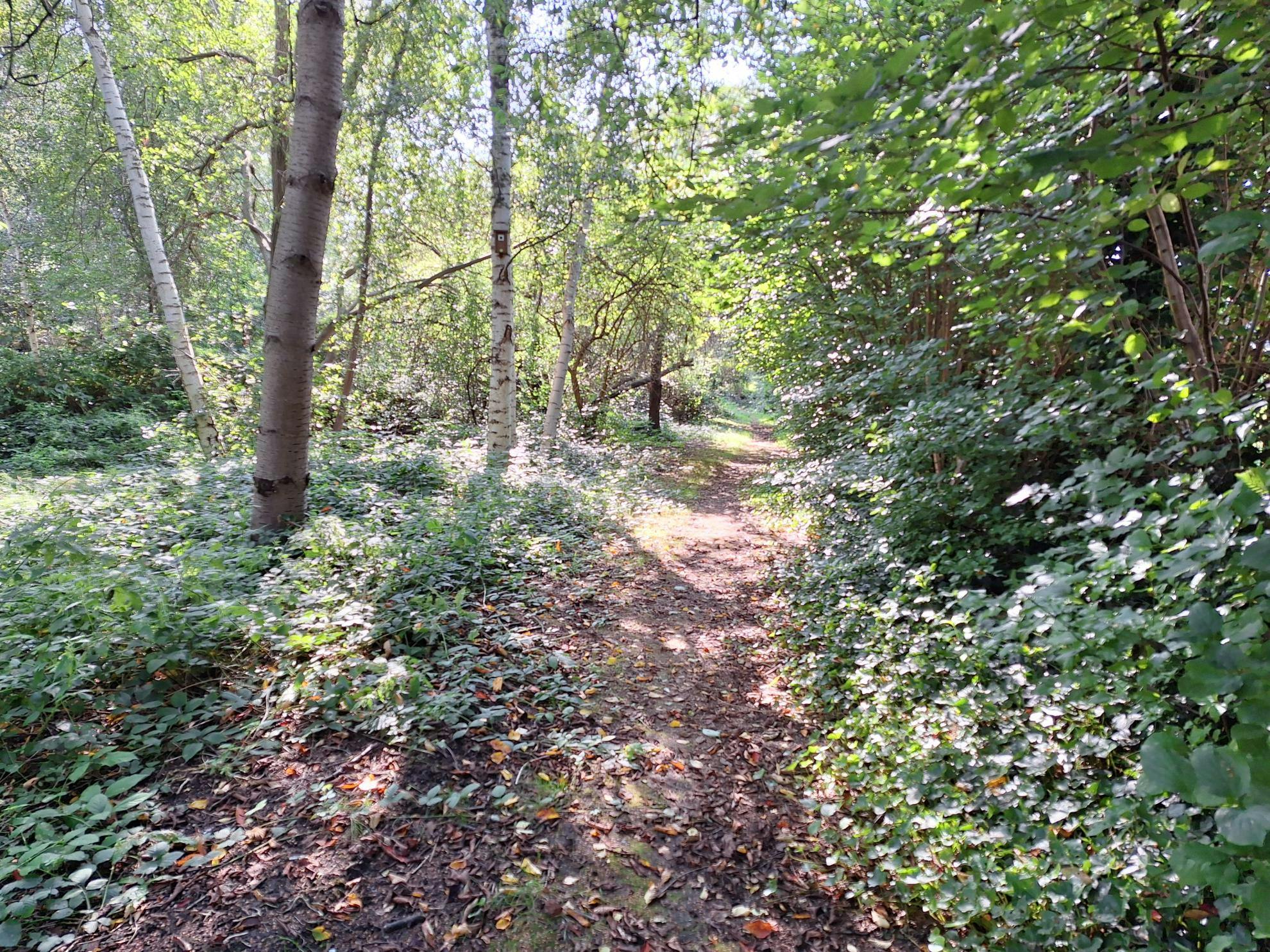 Natuurpunt